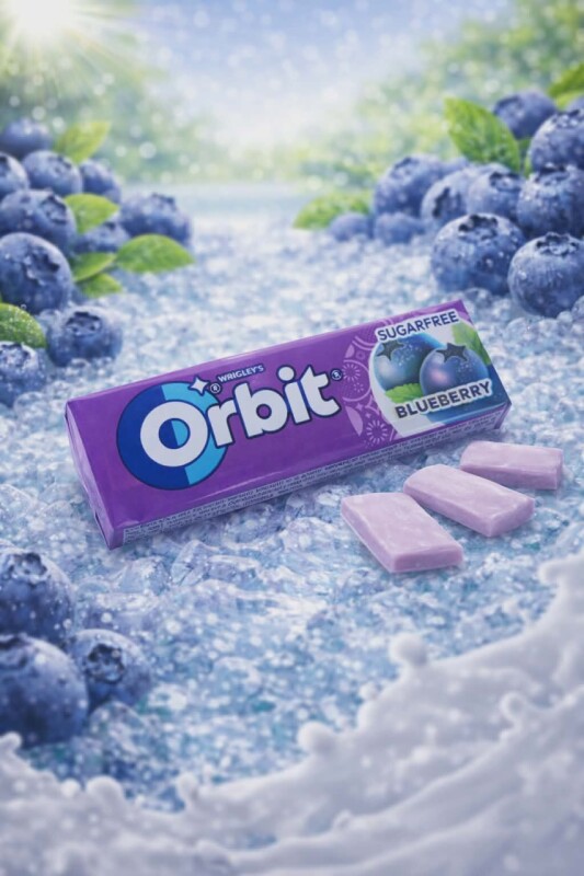Žvýkačka Orbit Borůvka 14g